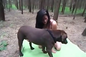 animal sex girl free picture