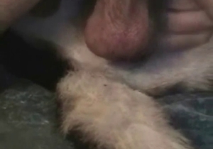 Fuck fest with close up shots for a horny beast