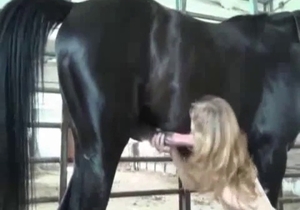 Black horse is having his way with a submissive girl