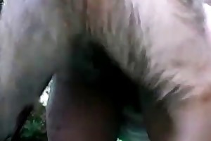 girl on animal sex porn videos