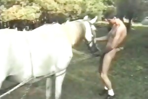 animalsex365 porn videos