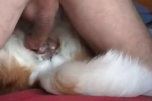 free movie trailers of sex with animals porn movies