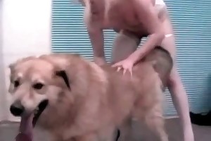 free beast sex pics videos