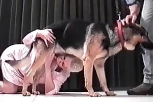 man cums in female dog videos