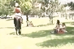 bestiality stories of girl getting horse creampie porn videos