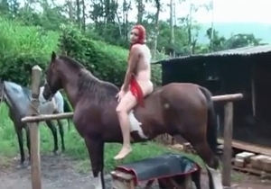 Sweet zoophile hole fucked by a muscled stallion