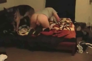 This horny fellow really wants to bang animals on his bed