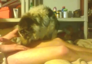 Adorable guy wants to fuck a sexy mutt hard