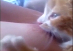 Kitty sucks on her titty in a taboo zoophile porno