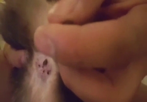 Kitty is going to enjoy dick play and then some