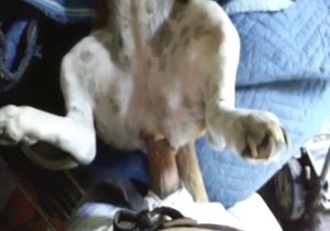 Dude is going to fuck that bitch with nice peen