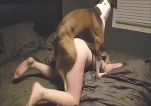 Bulldog banging a blond-haired lady on all fours