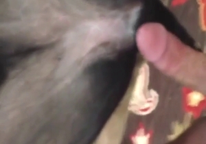 Dane gets destroyed by a good-looking penis