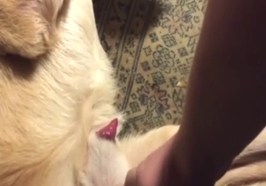 Rubbing session leads to fucking, it's a great one