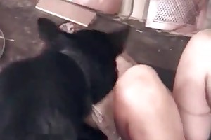 beasty animal porn videos