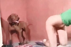 extreme animal blog porn movies