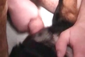 animals making sex free porn