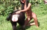 Brutal animal porn