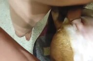 Mature animal sex