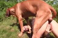 Teen bestiality sex